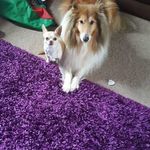 Profile Picture of Mark JJ Wotton (@markwo1745) on Instagram