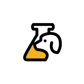 Profile Picture of Yellow Lab (@yellowlabtv) on Instagram