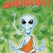 Profile Picture of Tracy Le Roux (@tracy_lee25) on Twitter