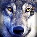 Profile Picture of Blake Kimball (@blake.kimball.545) on Facebook