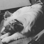 Profile Picture of Thomas Quesada (@quesadathomas) on Instagram