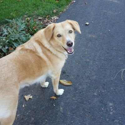Profile Picture of janet wolfe (@jazmina88) on Twitter