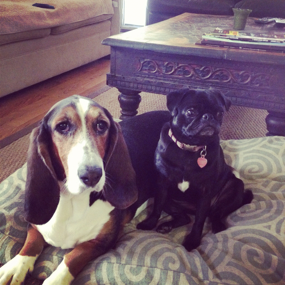 Profile Picture of Bridget Vowell (@bridgetvowell) on Poshmark