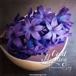 Profile Picture of Arohi Shijin Thomas (@aarohishijin) on Instagram