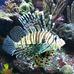 Profile Picture of Matthew Fish (@matthew.fish.5602) on Facebook