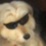 Profile Picture of James Nicolle (@thedarkdin0) on Instagram