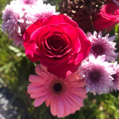 Profile Picture of Sylvia Le (@sylviale130) on Twitter