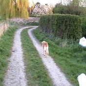 Profile Picture of John Hayden (@jonocuxham) on Youtube