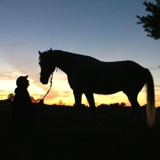 Profile Picture of Jodi Loeks (@jloeks88) on Tiktok