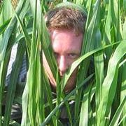 Profile Picture of Kevin Breheny (@kevinbreheny) on Pinterest