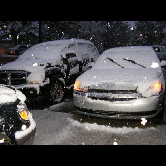 Profile Picture of Elizabeth Sandeman (@lizsandeman) on Poshmark