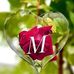 Profile Picture of Mohamed Abdi Wahid Haji (@mohamed.abdiwahidhaji) on Facebook