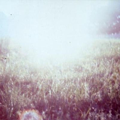 Profile Picture of Matthew Carmichael (@egosumhicsolo) on Twitter