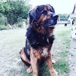 Profile Picture of Doris Mohs (@mohsdoris) on Instagram