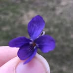 Profile Picture of Jason Giese (@Jason-Giese) on Facebook