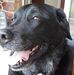 Profile Picture of Myrna Fisher (@myrna.fisher.73) on Facebook