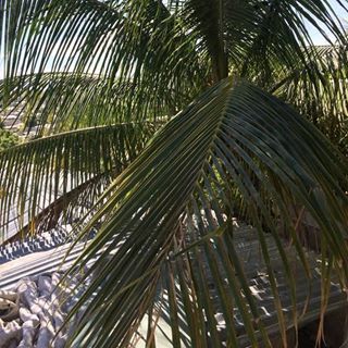 Profile Picture of Joe Forest (@joe.forest.9847) on Facebook