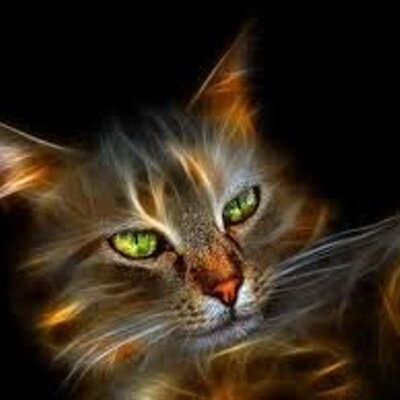 Profile Picture of Alexander Coello (@alexandercoell4) on Twitter