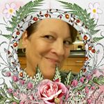 Profile Picture of cindy dorr (@dorrcindy) on Instagram