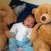 Profile Picture of Mười Điệu Úc Châu Van Huynh (@huynhduoc3110) on Pinterest