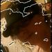 Profile Picture of Joey Scott (@beautifullybig) on Pinterest
