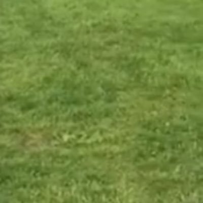 Profile Picture of James Winsor (@Jameswinsor1) on Twitter