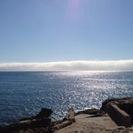 Melanie Coburn - Instagram Profile Picture of Melanie Coburn (@laniecoburn84ee) on Instagram