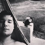 Profile Picture of Patrick Valente (@valentepatrick) on Instagram