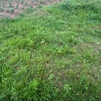 Profile Picture of Robert Jacks (@Robert-Jacks) on Facebook