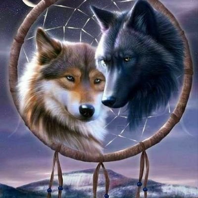 Profile Picture of Deborah Hearn (@DeborahHearn9) on Twitter