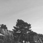 Profile Picture of cornelius (@cornelius_fun) on Instagram