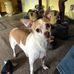 Profile Picture of Bill Hoffecker (@bill.hoffecker.9) on Facebook