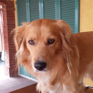 Profile Picture of Giuseppe Corazza (@giuseppe.corazza.92) on Facebook