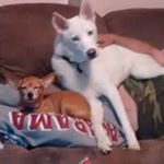 Profile Picture of Greg Mayfield (@gregum_1) on Instagram