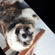 Profile Picture of Mario Ignacio (@marioignacio9937) on Youtube