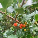 Profile Picture of Kim Addison (@Kim-Addison) on Facebook