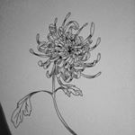 Profile Picture of Marlene Collier (@lene_line_art) on Instagram