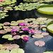 Profile Picture of Mark McCandless (@mmcandless1963) on Pinterest