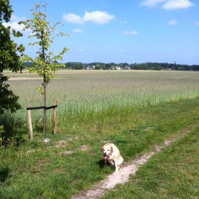 Profile Picture of Marcel Hansen (@MarcelHansen1) on Twitter