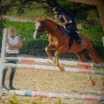 Profile Picture of roberta massaro (@roby__love__horse) on Instagram