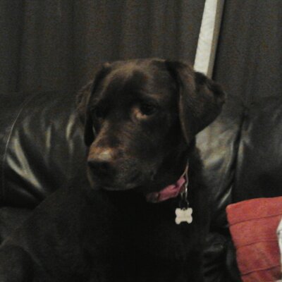 Profile Picture of Benjamin Stubbs (@DaWalrus599) on Twitter
