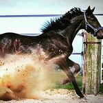 Profile Picture of Epifanio Perez (@epifanioperez025) on Instagram