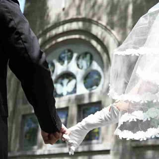 Profile Picture of dolphinsteven (@dolphinsteven) on Instagram