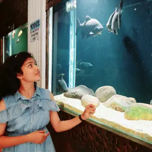 Profile Picture of avanthika18 (@mrs.mirabile) on Tiktok