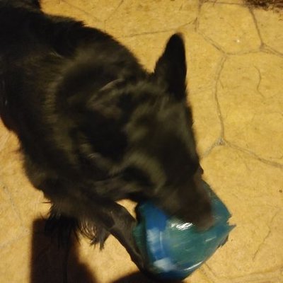 Jared Russell - Twitter Profile Picture of Jared Russell (@jaredrussell72) on Twitter