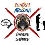 Profile Picture of Anthony B (@centralaz_caucasian_shepherd) on Instagram