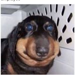 Profile Picture of BrianBrown (@brian_landon_brown) on Instagram