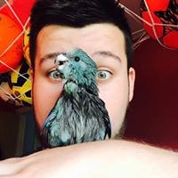 Profile Picture of Craig Burrows (@craig-burrows-2) on Quora