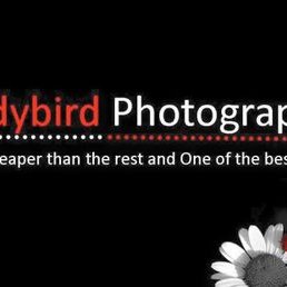 Profile Picture of Lord Brett Mclean (@LadybirdFoto) on Twitter