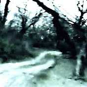 Profile Picture of Sam Wilt (@Samthismystop) on Youtube